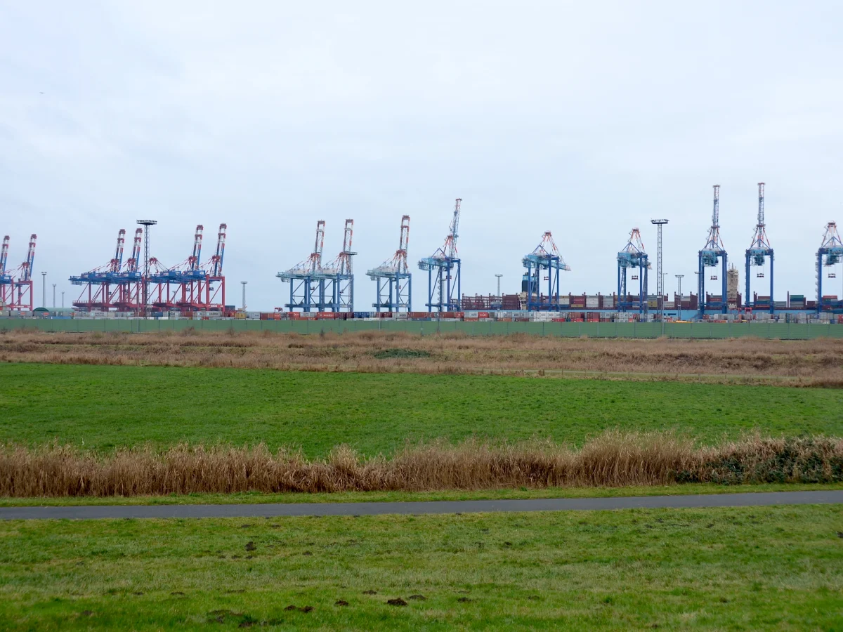 Logistique portuaire & douanière — Import-Export